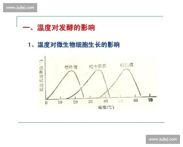 持续发酵过程中的微生物作用及其对食品品质的影响与优化策略