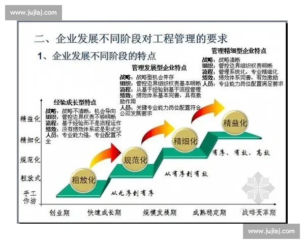 以精细管理为核心驱动提升组织效能与创新发展的实践路径研究探索